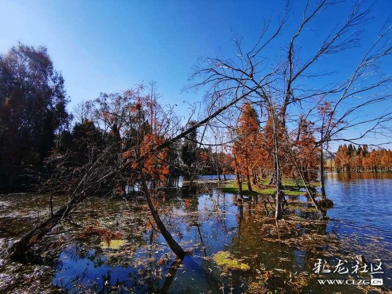 沪江开心词场
