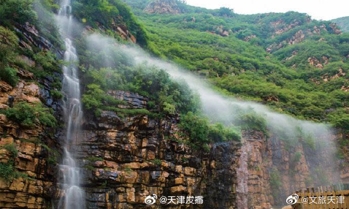 机智问答网页-聪明才智的装修的主材,网购可以吗?平台